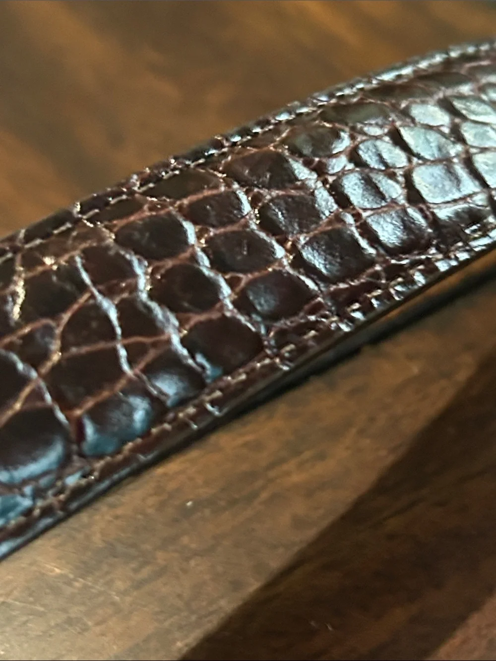 Brighton Woman’s Dark Brown Leather Belt with Decorative Silver Buckle